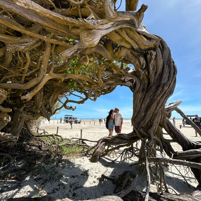 Compre 1 vaga no Passeio de Jardineira pelo Litoral Leste de Jericoacoara e ganhe outro :  com o seguinte roteiro: Árvore da Preguiça, Praia do Preá, Lagoon Beach, Buraco azul de Caiçara, Lagoa do Paraíso e Dunas do Parque Nacional