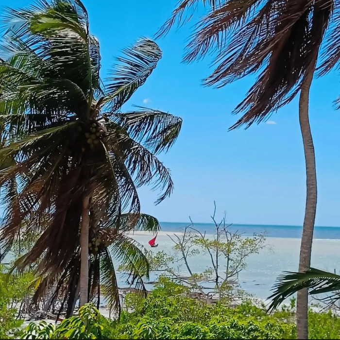 Compre 1 vaga no Passeio de Jardineira pelo Litoral Oeste de Jericoacoara e ganhe 2 vagas. Dunas do Parque Nacional, Travessia do Rio Guriú, Raízes Expostas do Guriú, Dunas de Tatajuba e Lago Grande.