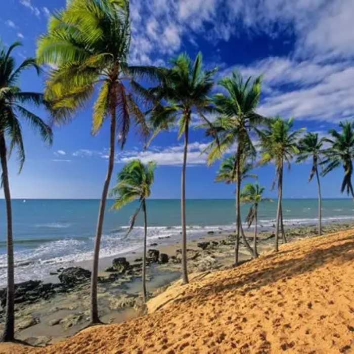 Prepare-se para se encantar com uma das paisagens mais incríveis do litoral oeste cearense. Lagoinha é um verdadeiro paraíso natural, com lagoas, dunas, cachoeiras, enseadas e um mar verde que impressiona até os viajantes mais experientes. A sensação é de que a natureza caprichou por aqui – e atingiu a perfeição!