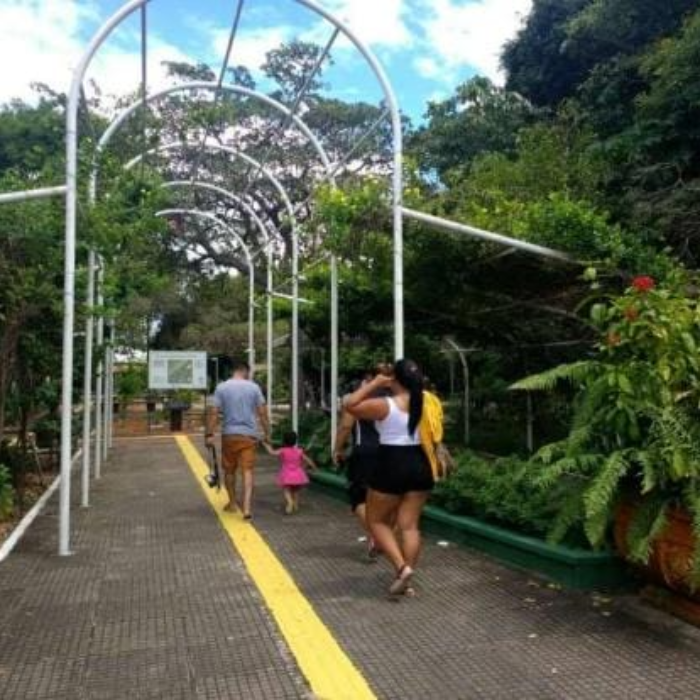 Parque Estadual Botânico do Ceará

Localizado na região metropolitana de Fortaleza, o Parque Estadual Botânico do Ceará é um importante espaço de lazer e educação ambiental do Estado.