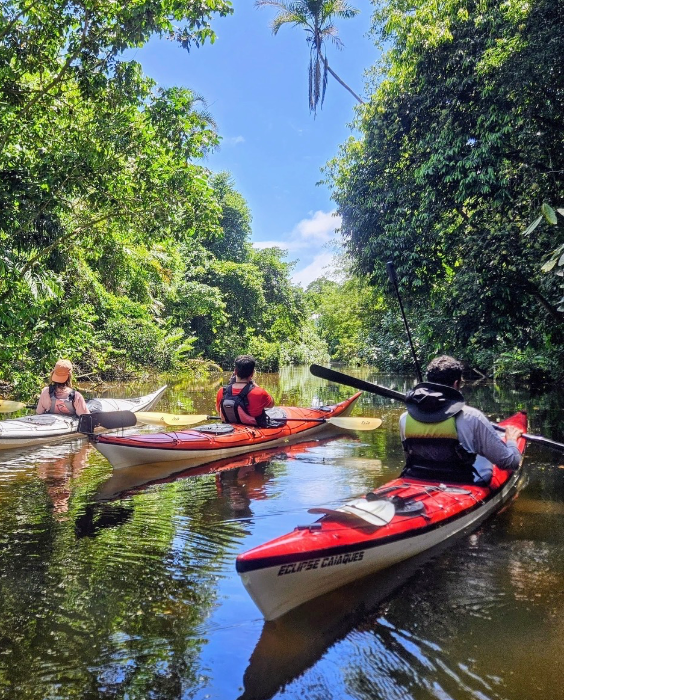Aqua Terra Paraty oferece expedições de caiaque, trekking e experiências culturais pela Costa Verde, explorando o Saco do Mamanguá, Ponta da Joatinga e praias selvagens de Paraty. Guia multilíngue, alimentação saudável e roteiros autênticos unem natureza, cultura caiçara e aventura.